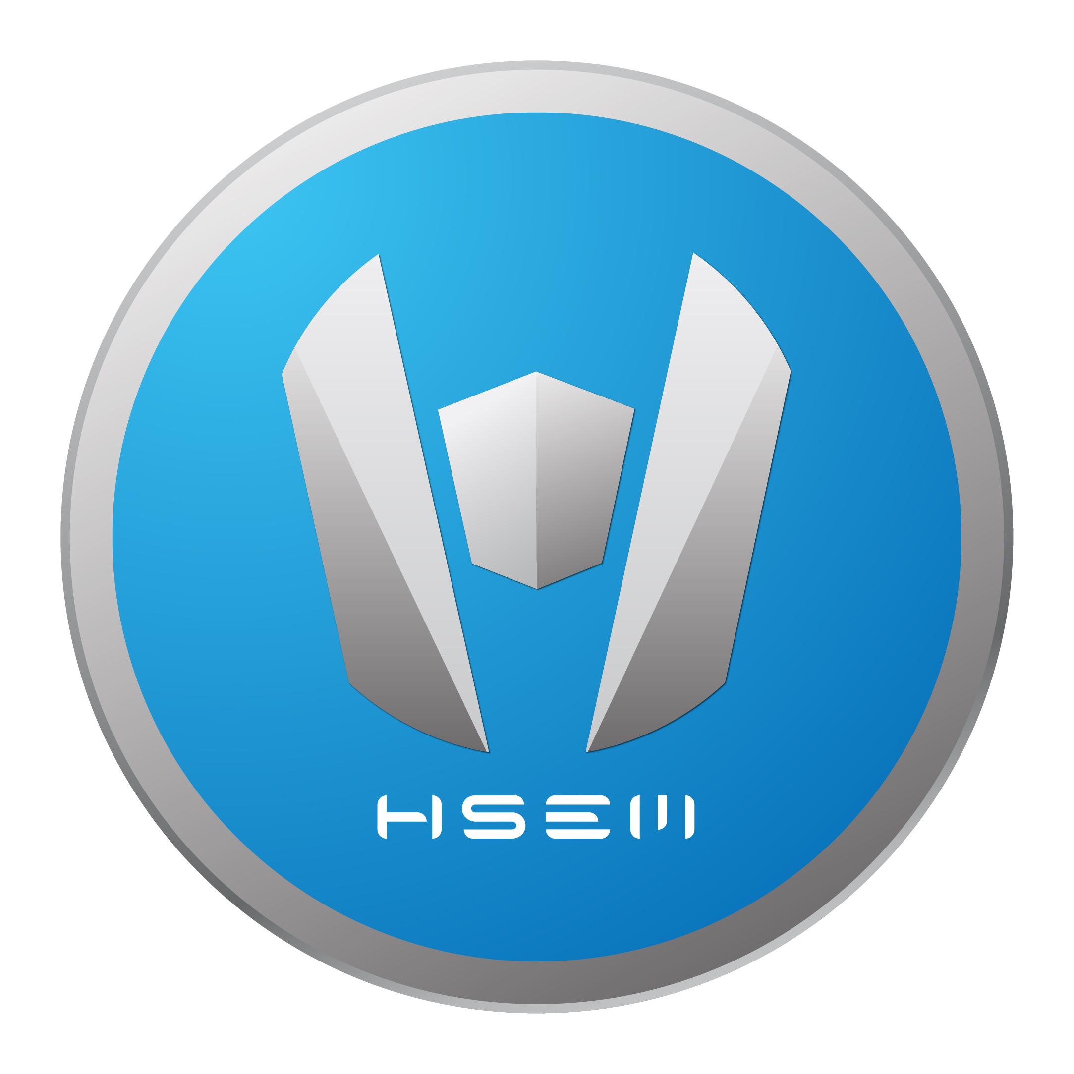 HSEM New Logo